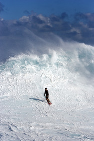 MAUI - HAWAII - USA . Jan 2007.