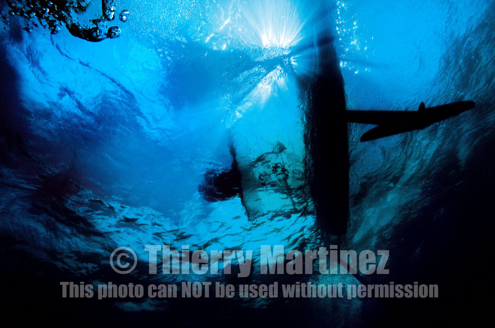 Moth International - Bladerider - Blairgowrie VICTORIA - AUSTRALIE . Feb 2007.