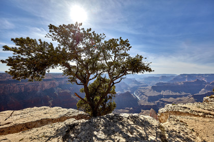 THM-18_057936-GRAND CANYON