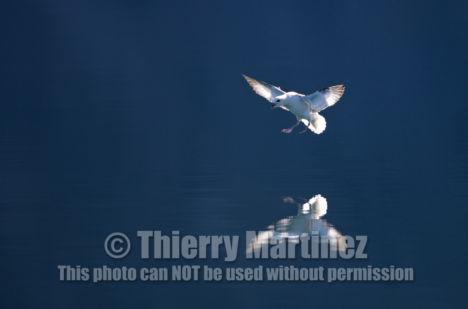 Schooner LA LOUISE sailing on west coast of Greenland.
