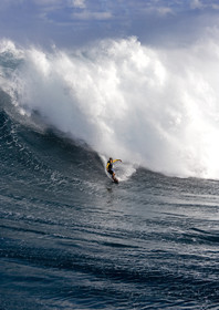 MAUI - HAWAII - USA . Jan 2007.