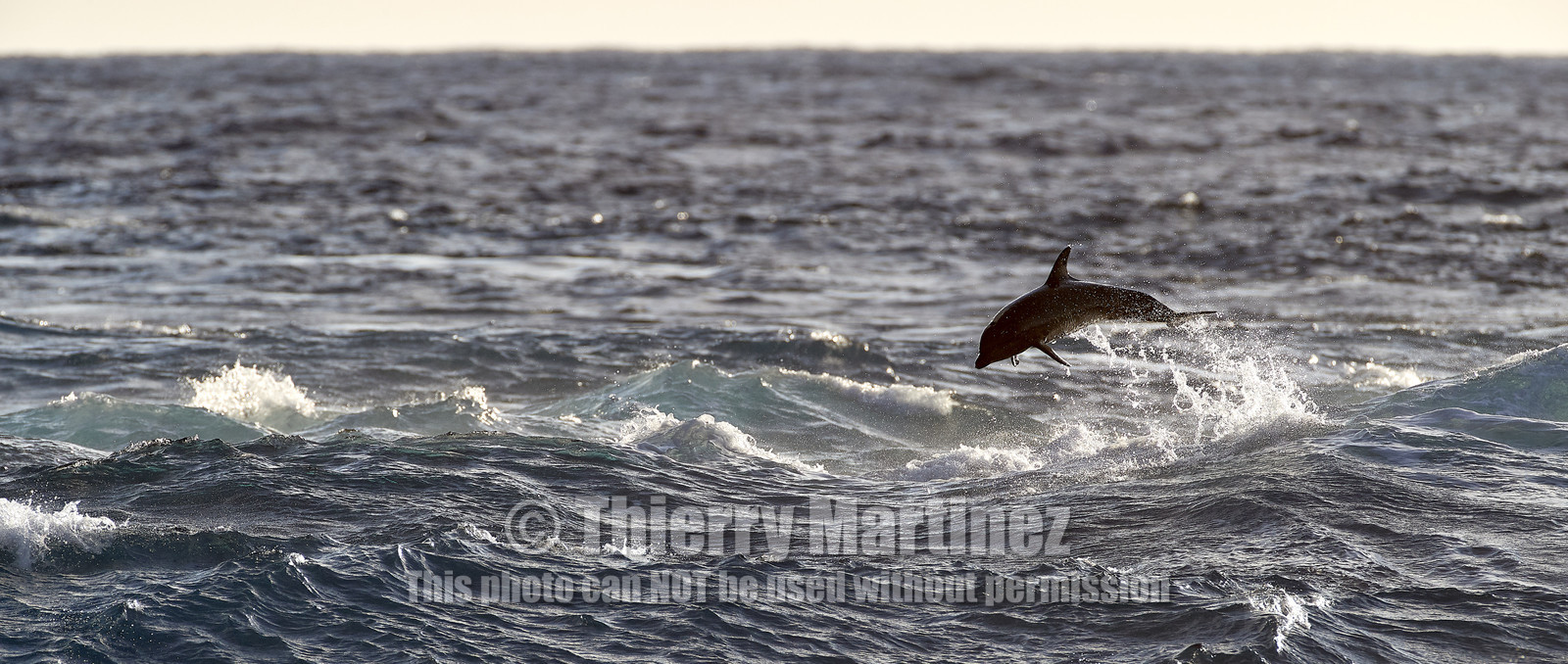 THM-18_039002_RANGIROA