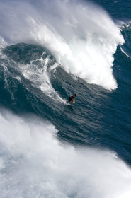 MAUI - HAWAII - USA . Jan 2007.