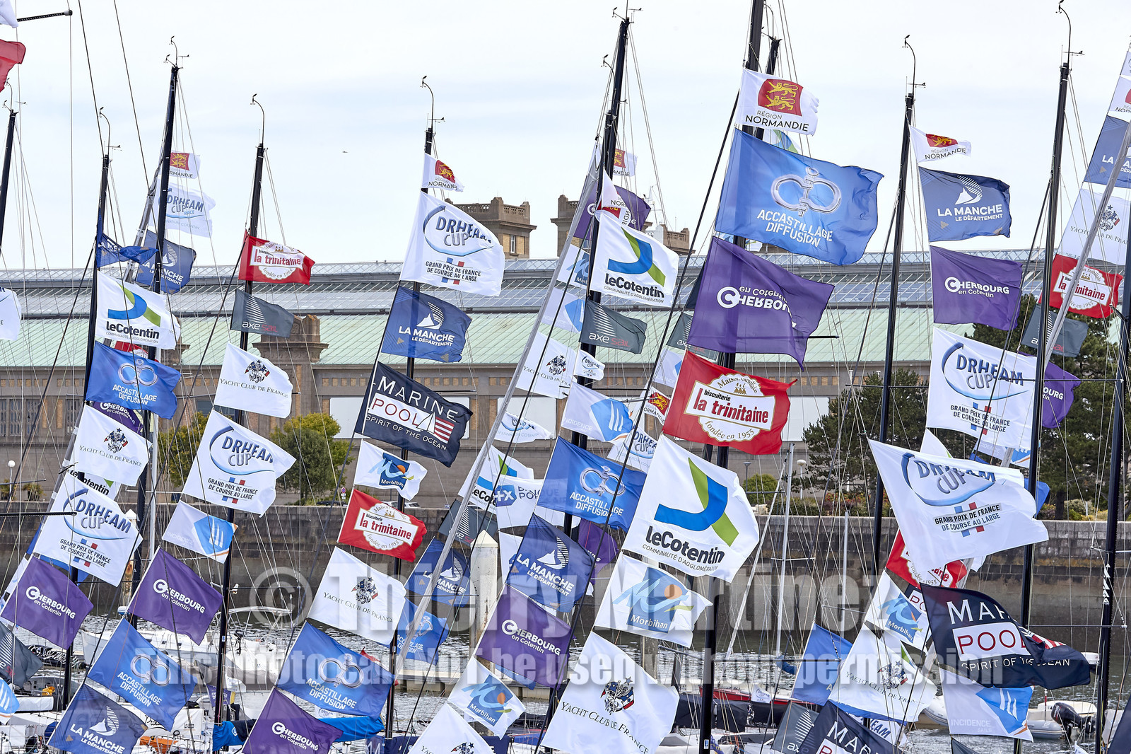 THM-20_07830_DRHEAM CUP