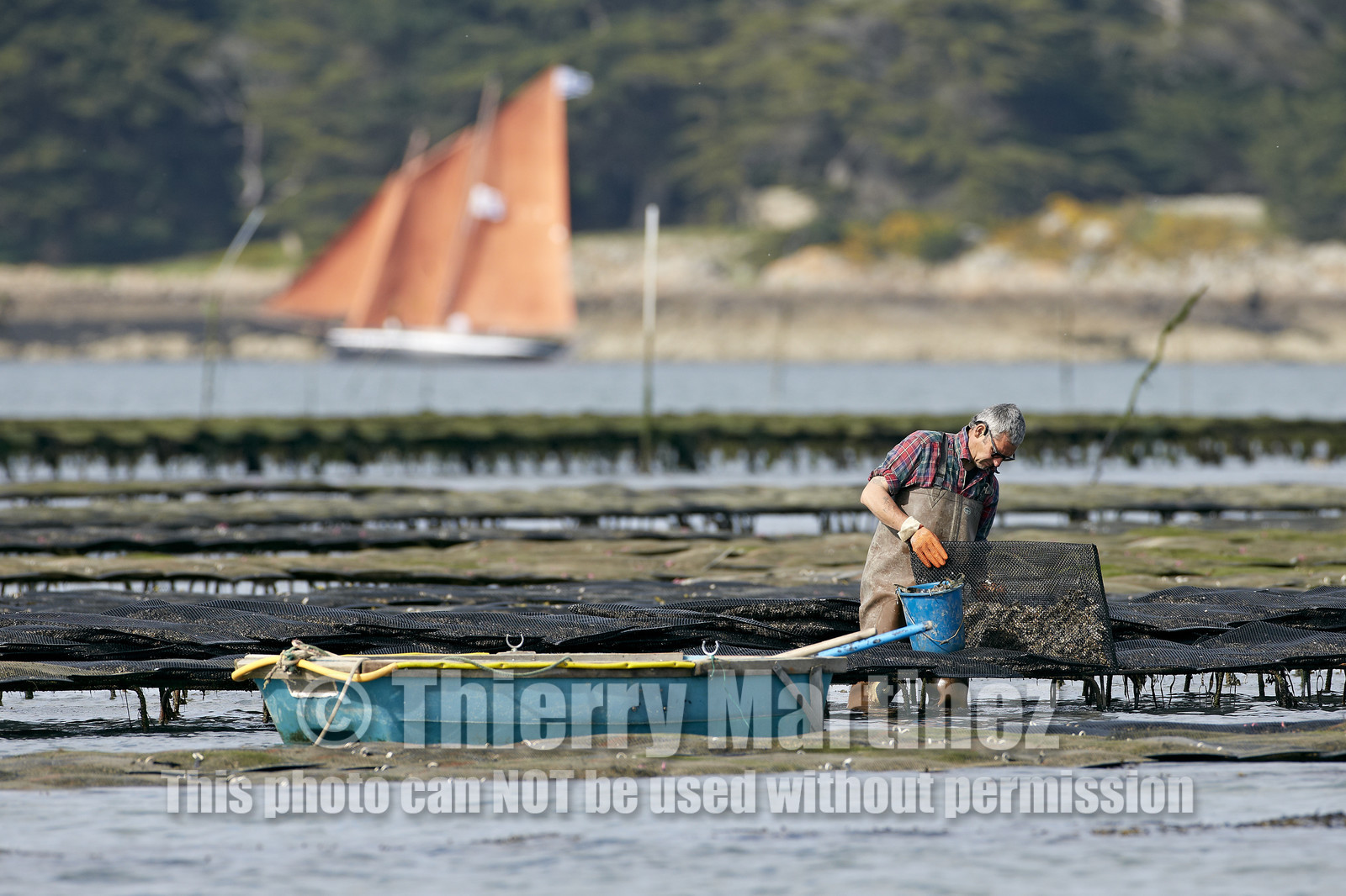 THM-15_46048-SEMAINE du Golfe