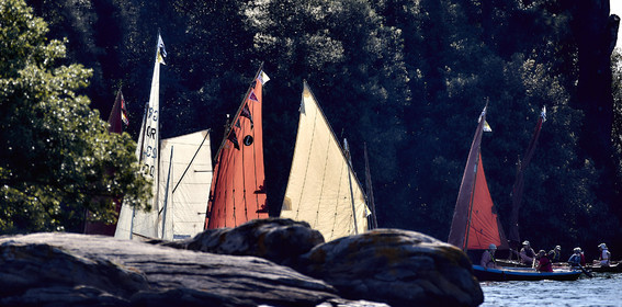 THM-17_011700-Semaine du Golfe