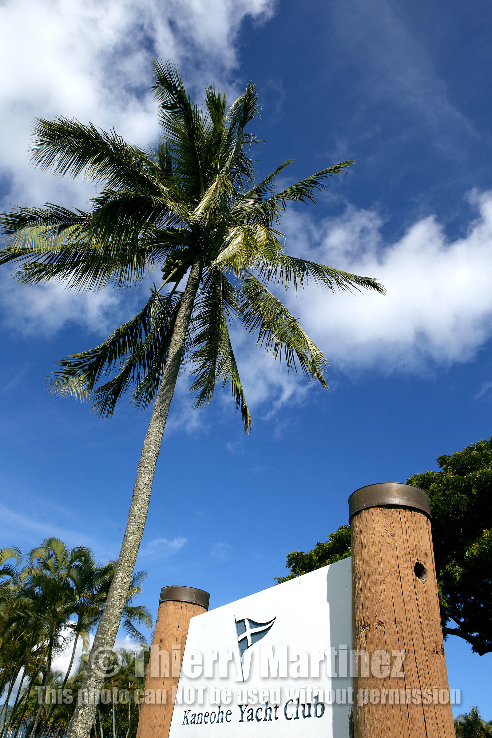2013 McDOUGALL+McCONAGHY Moth Worlds - Kaneohe Bay - Hawaii -USA . October 2013
