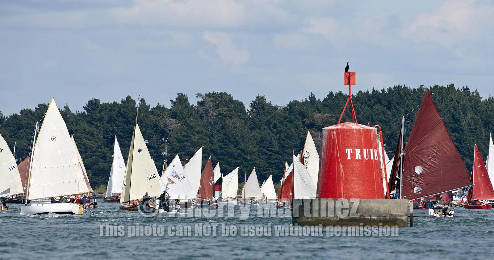 THM-15_48378-SEMAINE du Golfe