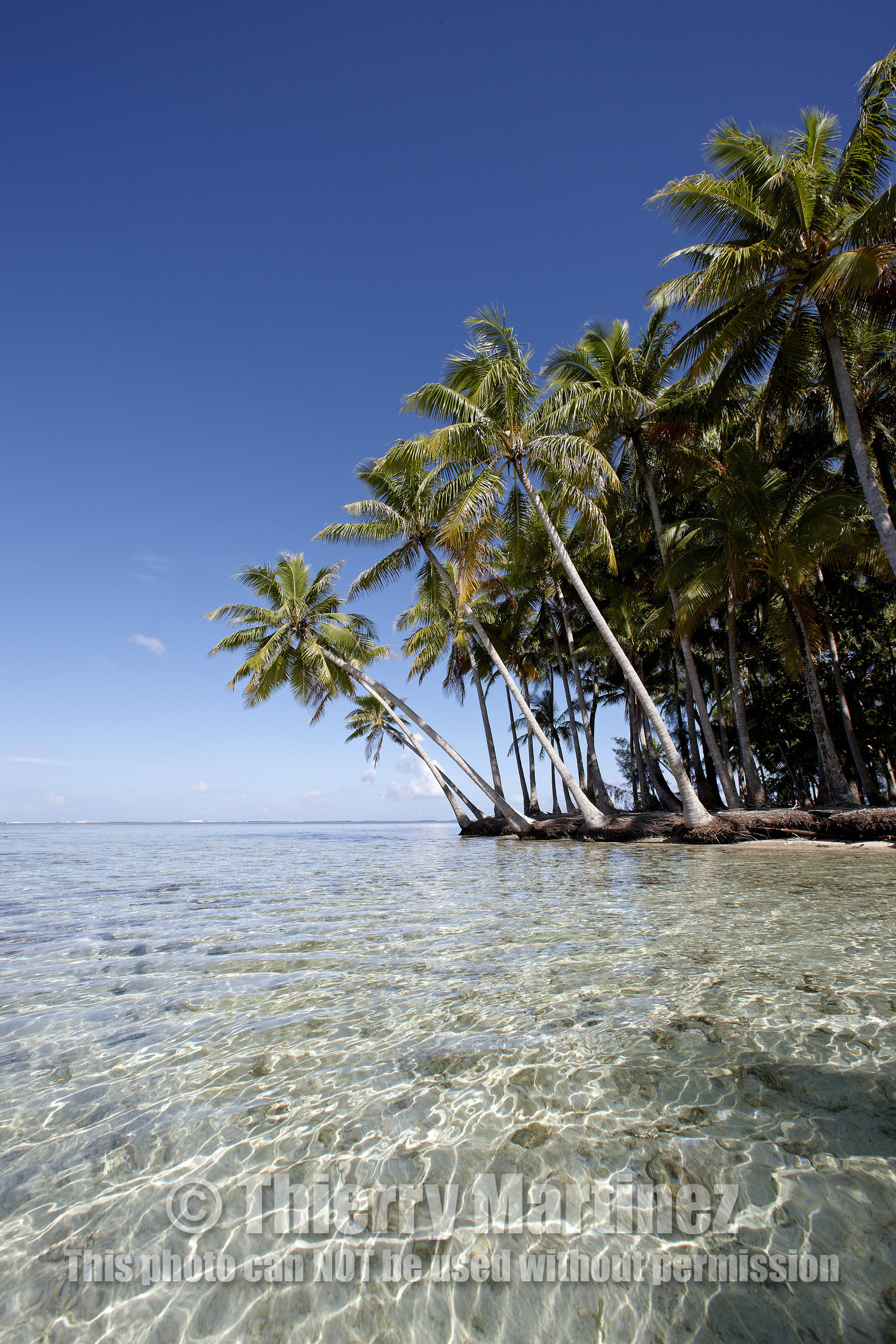 15_024828  ©ThMartinez Sea&Co.  RAIATEA - ILES SOUS LE VENT. POLYNESIE FRANCAISE .  2 Février 2015. ..MOTU dans le lagon de Raiatea.