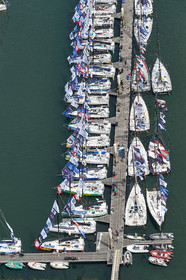 THM-20_08352_DRHEAM CUP