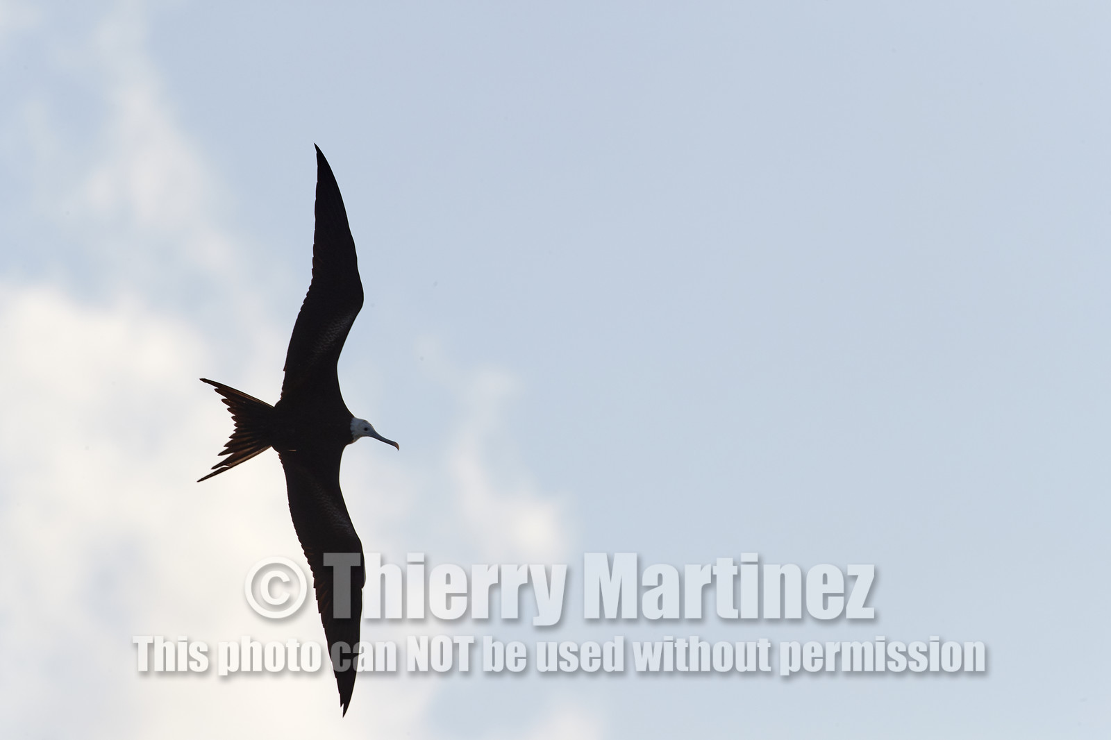 THM-18_039063_RANGIROA