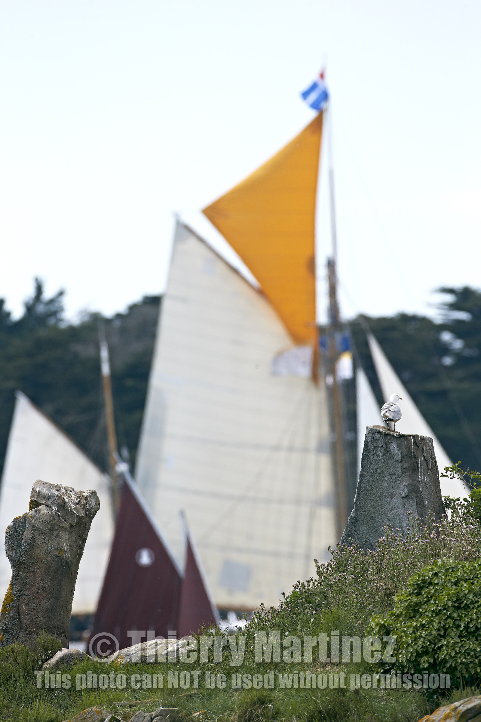 THM-15_48055-SEMAINE du Golfe