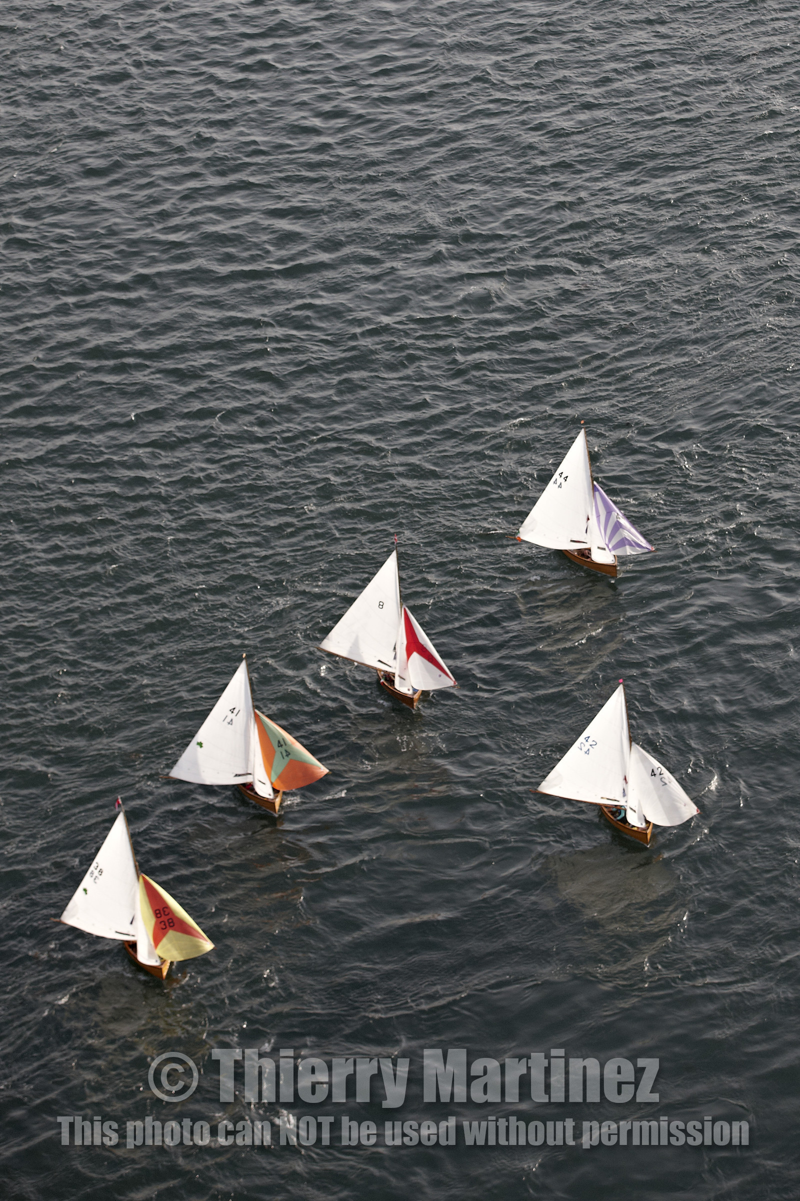 Semaine du Golfe 2015. Parade d'arrivée de la flotte.