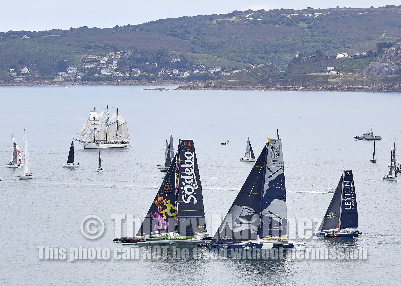 THM-20_09141_DRHEAM CUP