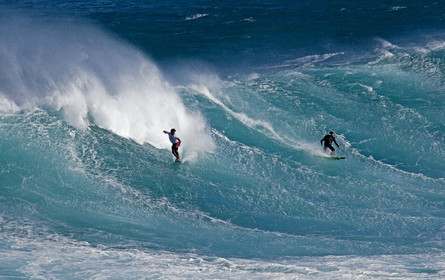 MAUI - HAWAII - USA . Jan 2007.