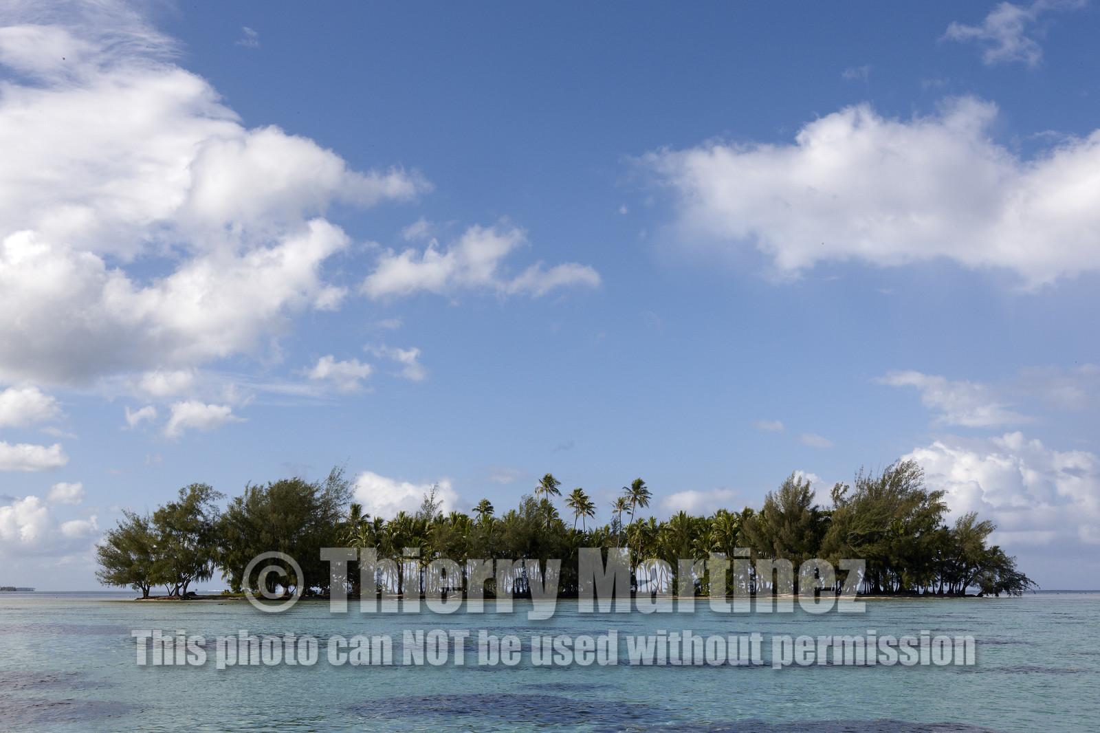 15_024796  ©ThMartinez Sea&Co.  RAIATEA - ILES SOUS LE VENT. POLYNESIE FRANCAISE .  2 Février 2015. ..MOTU dans le lagon de Raiatea.