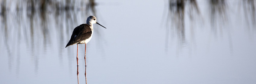 12_08846 LOCMARIAQUER