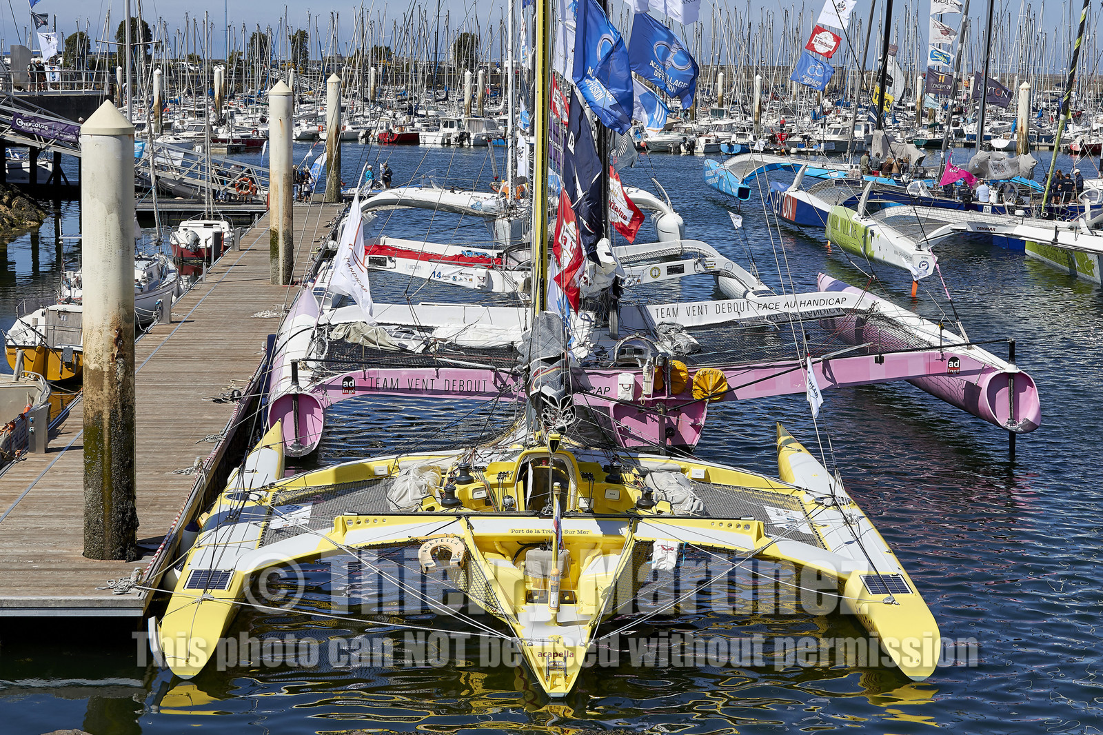 THM-20_08661_DRHEAM CUP