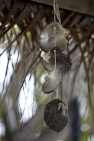 15_027775  ©ThMartinez Sea&Co.  FAKARAVA - ARCHIPEL des TUAMOTU. POLYNESIE FRANCAISE .  14 Février 2015. .