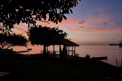 THM-18_038117_RAIATEA