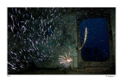 08_00965_ epave fond blanc-.jpg