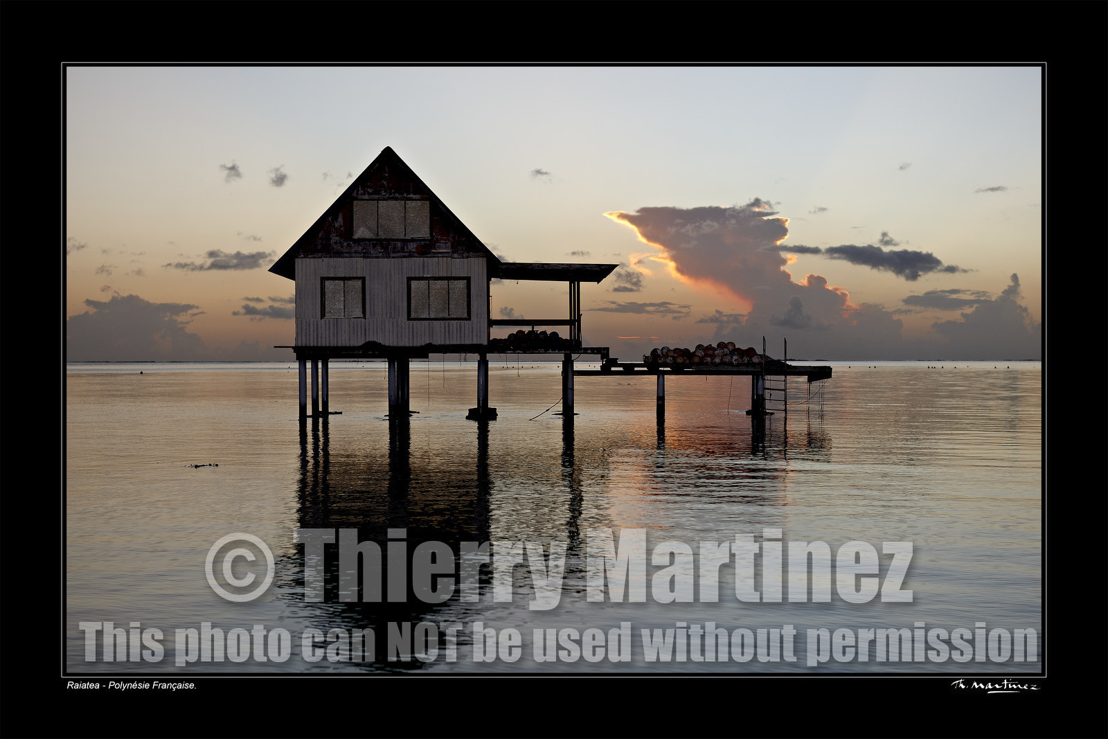 Photo disponible en tirage photo Fine Art,tirage original limités à 30 exemplaires.Chaque tirage est numéroté avec certificat d’authenticité signé.Pour choisir le format et support merci d'utiliser le caddie à coté de la photo.Formats disponibles : Tirage sur papier ( tirage seul) :  30x45 cm   40x60 cm  60x90 cm. Vous pouvez choisir le tirage avec un fond blanc ou noir , à votre convenance. Tirage sur papier contrecollé sur Dibond ( pas de bord blanc ou noir autour de l'image), avec système d'attache au dos:  30x45 cm   40x60 cm  50x75 cm  80x120cm.Tirage sur toile ( Canvas) monté sur chassis bois (pas de bord blanc ou noir autour de l'image), avec système d'attache au dos :  50x75 cm  80x120cm.Expédition ( Dans le monde entier): Colissimo (assurance) avec signature à réception. 48h pour la France métropolitaine.Il est possible de récupérer les tirages à La Galerie du Golfe (sans frais d'expèdition).Conditionnement tirages seuls: tube cylindrique renforcé + boite.