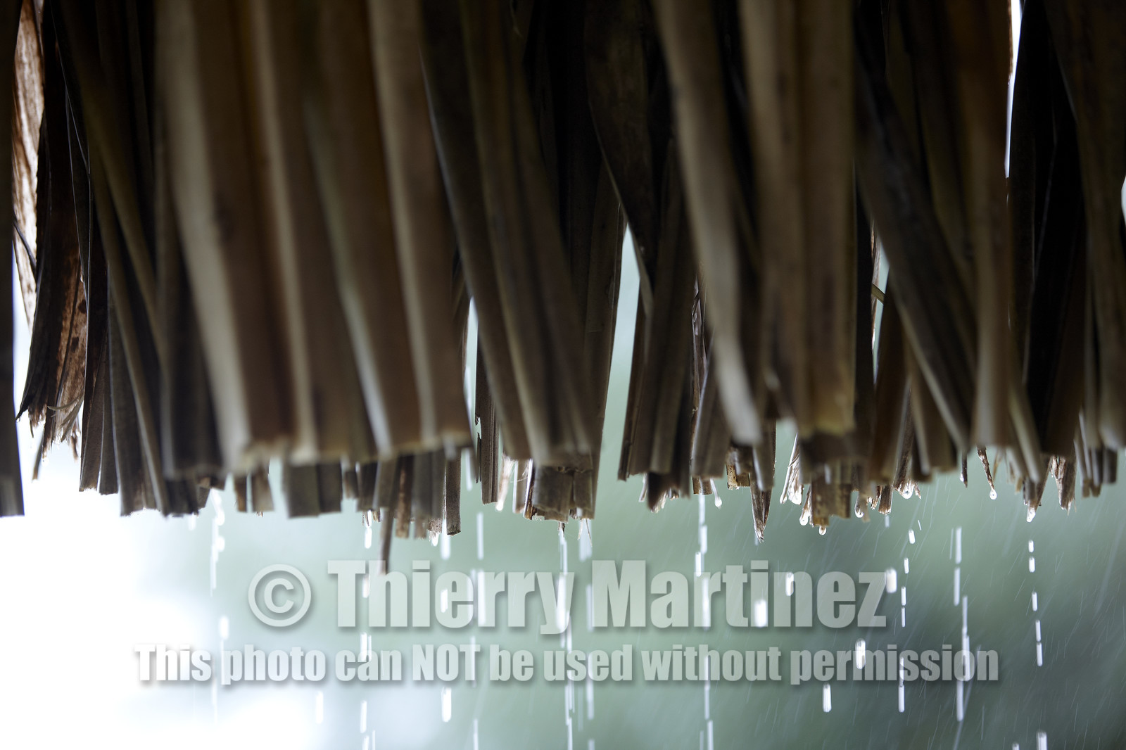 15_025973  ©ThMartinez Sea&Co.  BORA BORA - ILES SOUS LE VENT. POLYNESIE FRANCAISE .  6 Février 2015. . Bora Bora depuis Eden Beach Bora Bora..