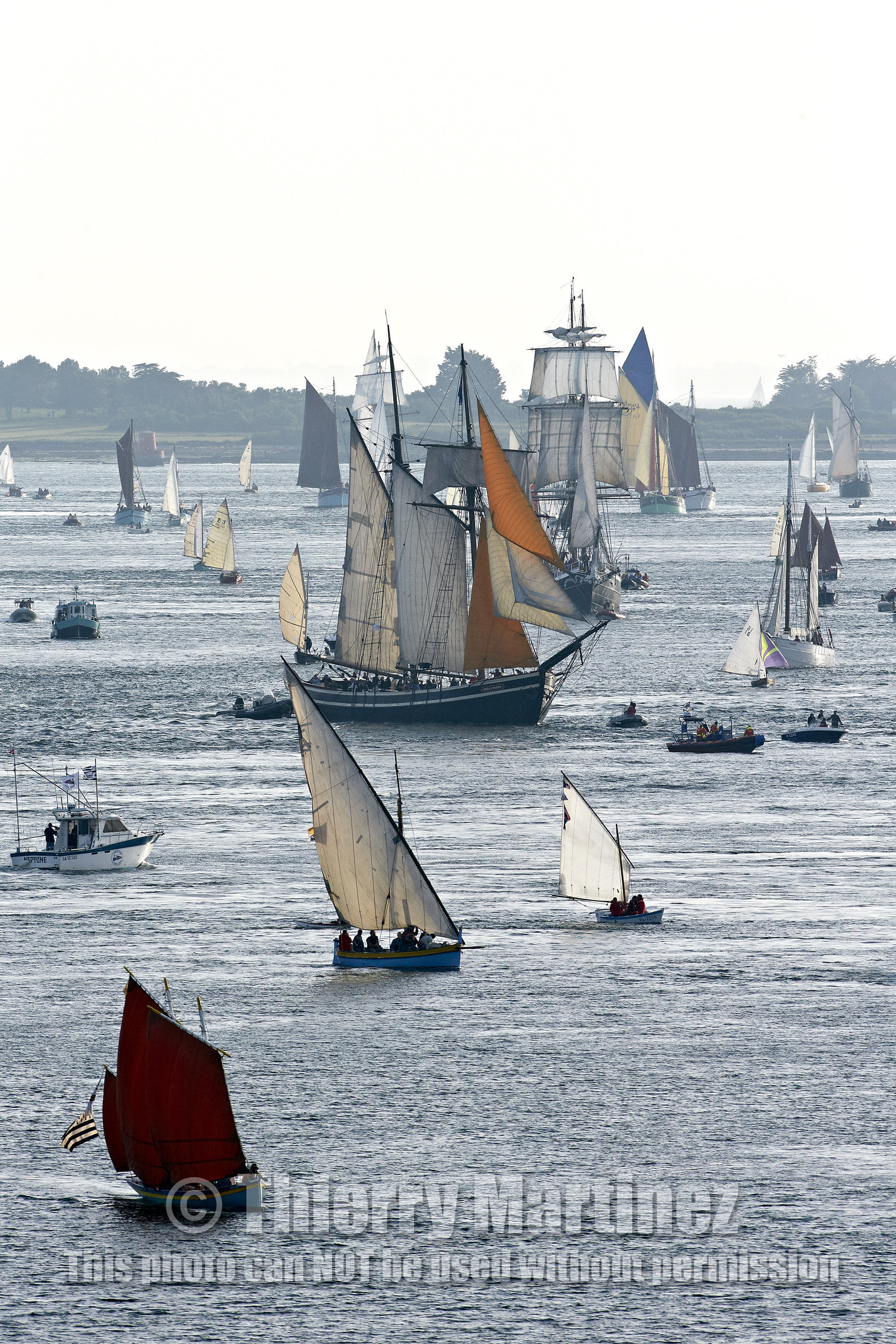 Semaine du Golfe 2015. Parade d'arrivée de la flotte.
