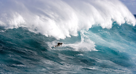 MAUI - HAWAII - USA . Jan 2007.