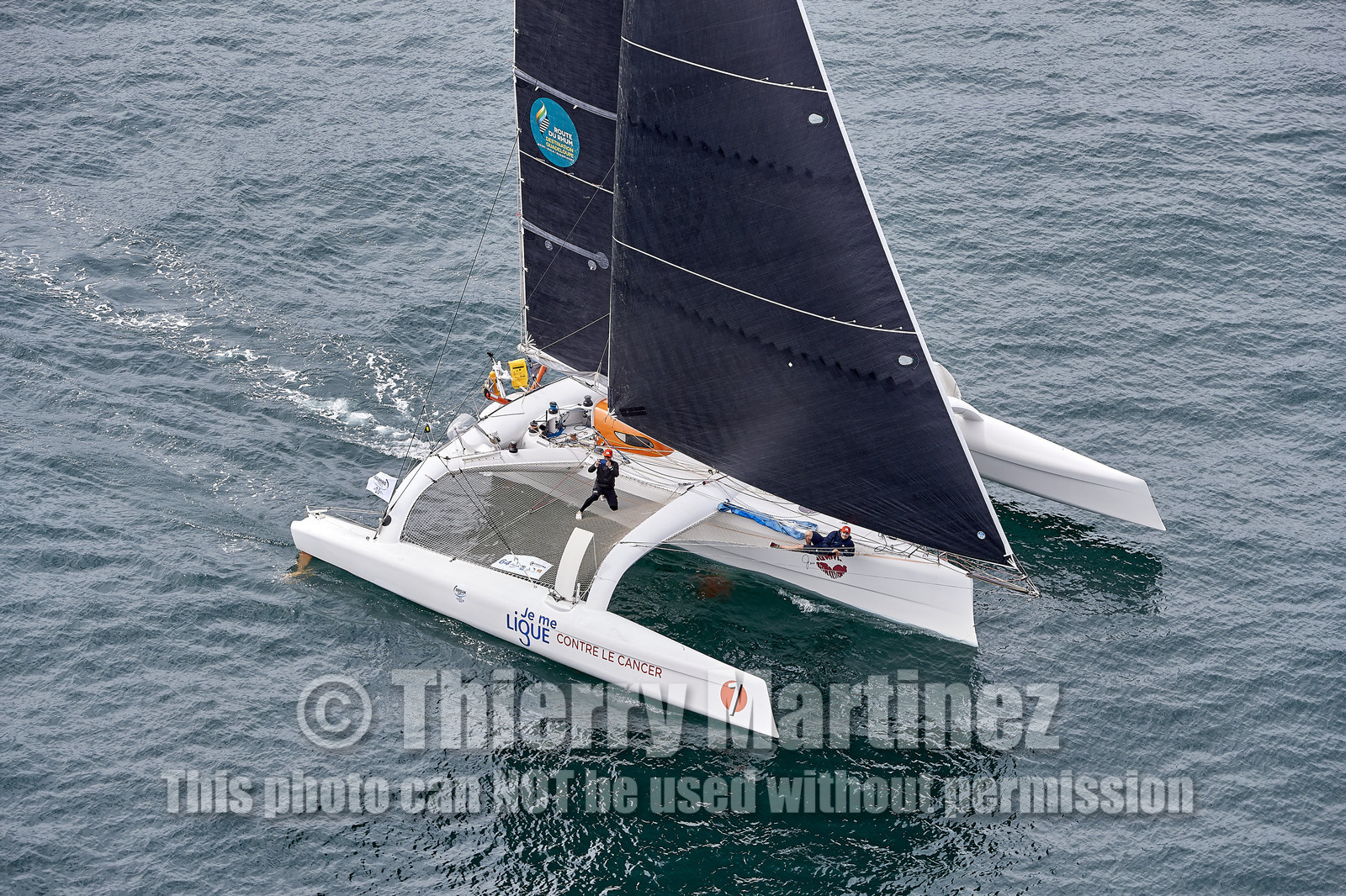 THM-20_09296_DRHEAM CUP