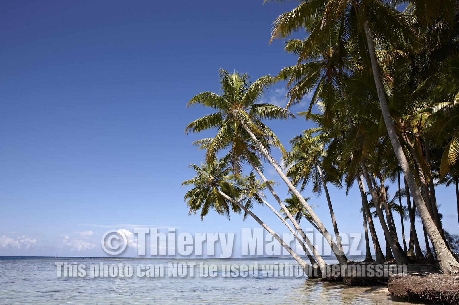 15_024906  ©ThMartinez Sea&Co.  RAIATEA - ILES SOUS LE VENT. POLYNESIE FRANCAISE .  2 Février 2015. ..MOTU dans le lagon de Raiatea.