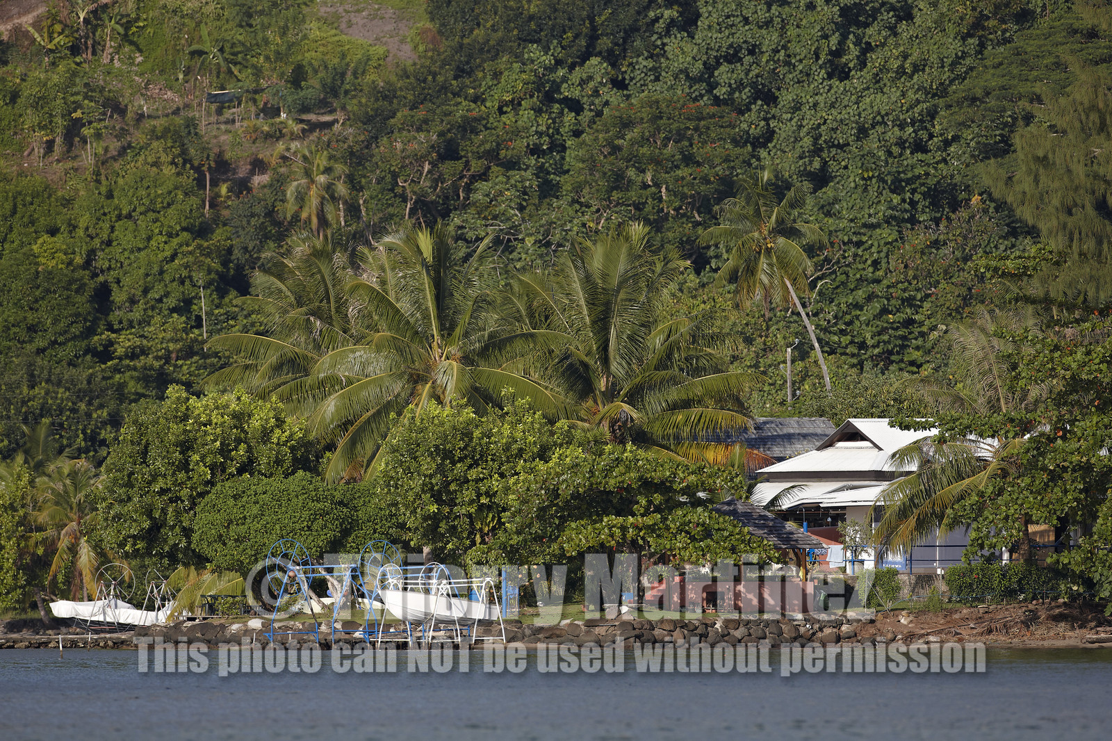 15_025270  ©ThMartinez Sea&Co.  RAIATEA - ILES SOUS LE VENT. POLYNESIE FRANCAISE .  2 Février 2015. ..