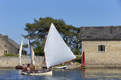 THM-17_011844-Semaine du Golfe